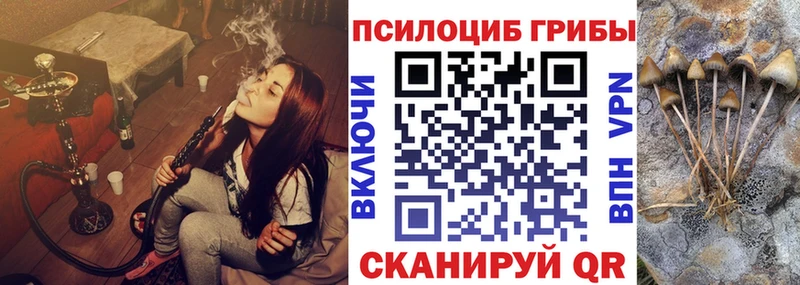 Псилоцибиновые грибы мицелий  маркетплейс телеграм  Красный Холм 
